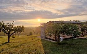 Vinea Panonika Wine & Mind Retreat